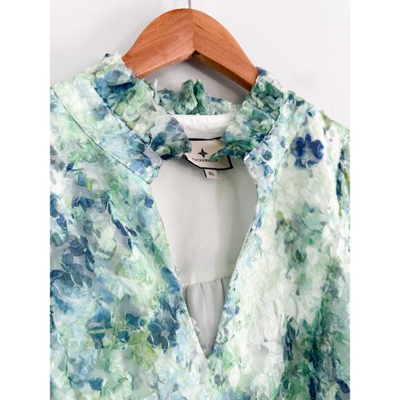 Tuckernuck | Palmerston Mini Swing Dress In Water Lilies Organza Lace | Sz XL - Picture 5 of 9